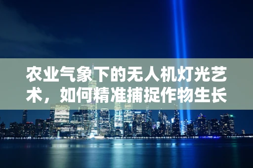 农业气象下的无人机灯光艺术，如何精准捕捉作物生长的光之语？