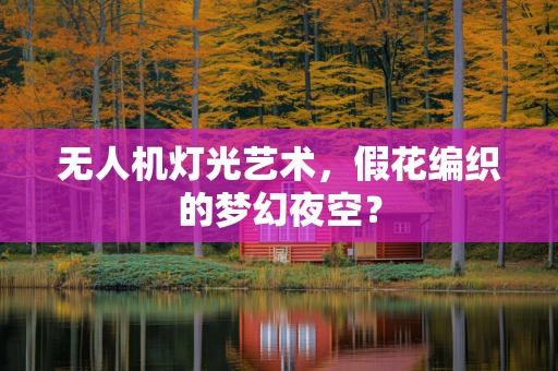 无人机灯光艺术，假花编织的梦幻夜空？