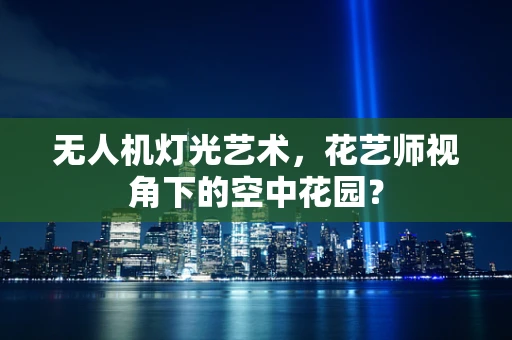 无人机灯光艺术，花艺师视角下的空中花园？