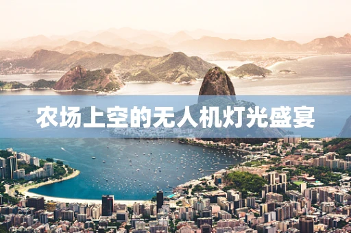 农场上空的无人机灯光盛宴