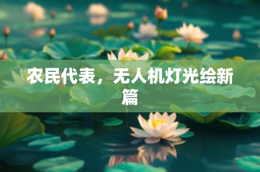农民代表，无人机灯光绘新篇
