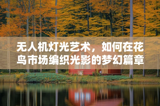 无人机灯光艺术，如何在花鸟市场编织光影的梦幻篇章？