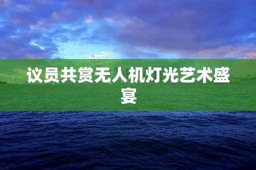 议员共赏无人机灯光艺术盛宴