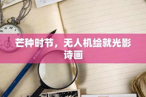 芒种时节，无人机绘就光影诗画
