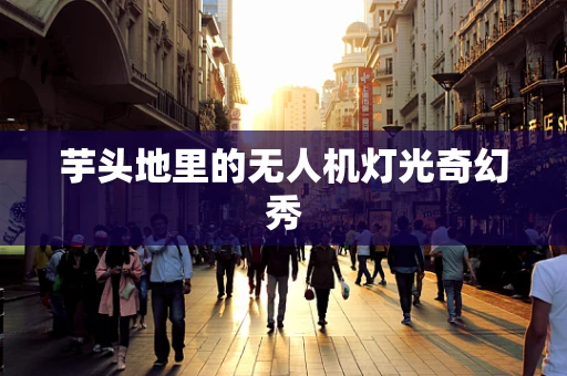 芋头地里的无人机灯光奇幻秀