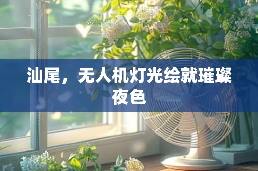 汕尾，无人机灯光绘就璀璨夜色