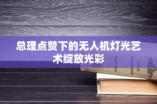 总理点赞下的无人机灯光艺术绽放光彩