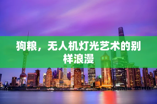 狗粮，无人机灯光艺术的别样浪漫