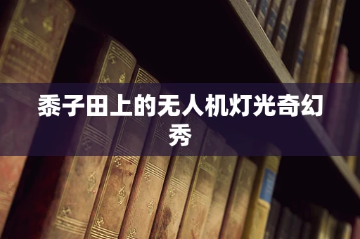 黍子田上的无人机灯光奇幻秀