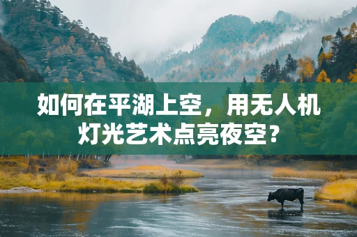 如何在平湖上空，用无人机灯光艺术点亮夜空？