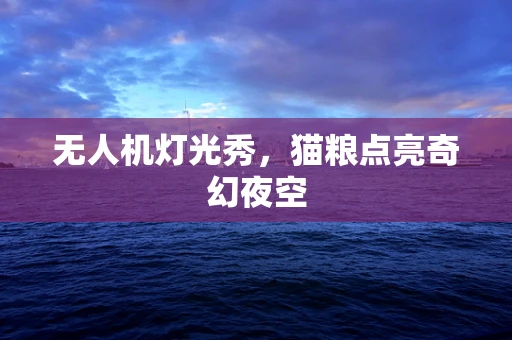 无人机灯光秀，猫粮点亮奇幻夜空