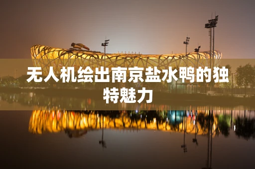 无人机绘出南京盐水鸭的独特魅力