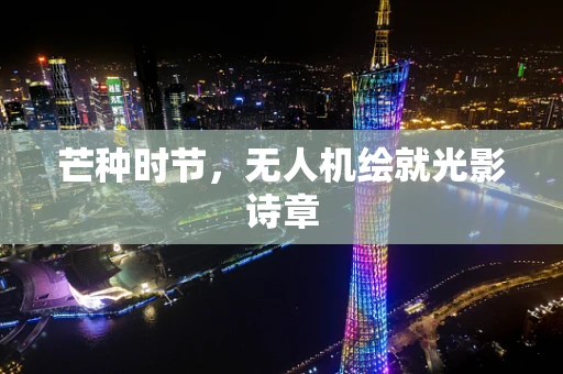 芒种时节，无人机绘就光影诗章