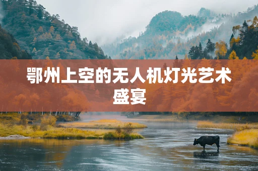 鄂州上空的无人机灯光艺术盛宴