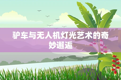 驴车与无人机灯光艺术的奇妙邂逅