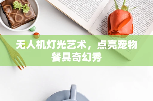 无人机灯光艺术，点亮宠物餐具奇幻秀