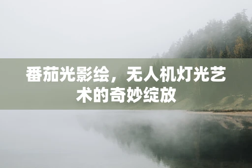 番茄光影绘，无人机灯光艺术的奇妙绽放