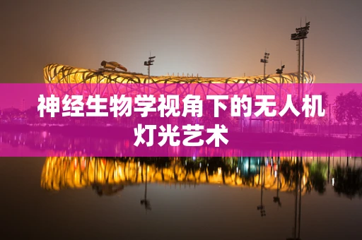 神经生物学视角下的无人机灯光艺术