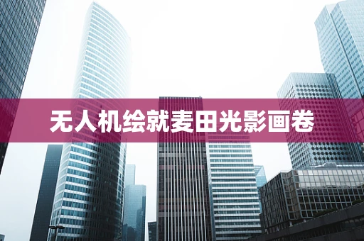 无人机绘就麦田光影画卷