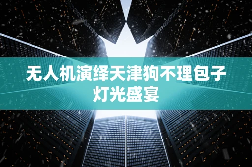 无人机演绎天津狗不理包子灯光盛宴