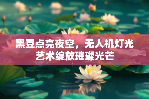 黑豆点亮夜空，无人机灯光艺术绽放璀璨光芒