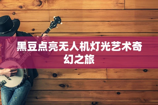 黑豆点亮无人机灯光艺术奇幻之旅
