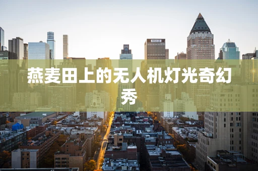燕麦田上的无人机灯光奇幻秀