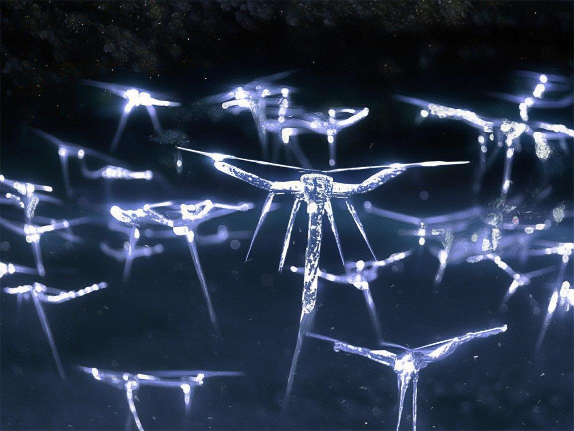 冰糖般璀璨的无人机灯光艺术